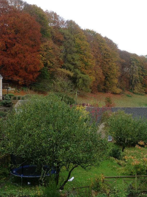 Dove Cottage Bisley  Екстериор снимка