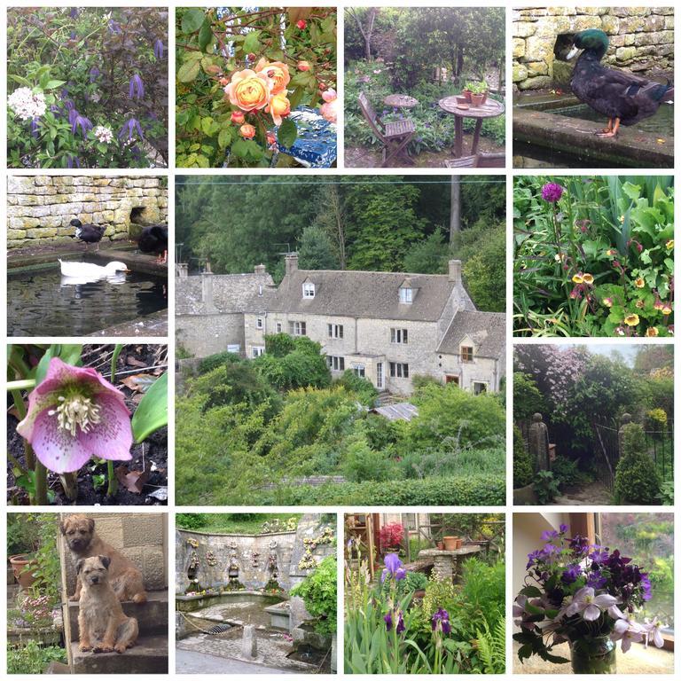 Dove Cottage Bisley  Екстериор снимка